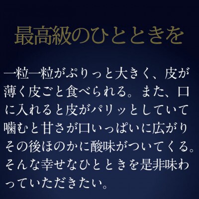 [HS]ぶどう 2025年先行予約 9月～10月発送 最高級品シャインマスカット 晴王1房約700g