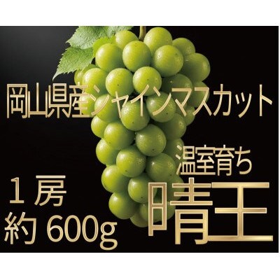 [HS]ぶどう 2026年 先行予約 7月～8月発送 温室シャインマスカット晴王 1房約600g