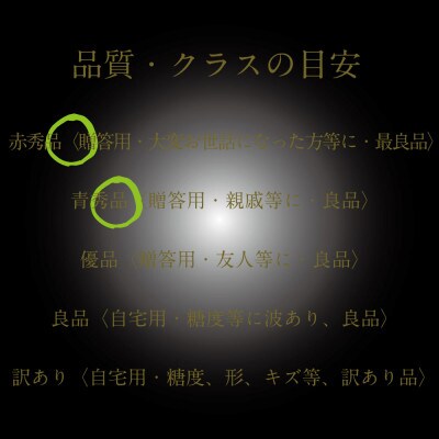 [HS]ぶどう 2026年 先行予約 7月～8月発送 温室シャインマスカット晴王 1房約600g