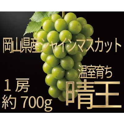 [HS]ぶどう 2026年 先行予約 7月～8月発送 温室シャインマスカット晴王 1房約700g