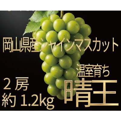 [HS]ぶどう2026年先行予約 7月～8月発送 温室シャインマスカット晴王2房(合計約1.2kg)