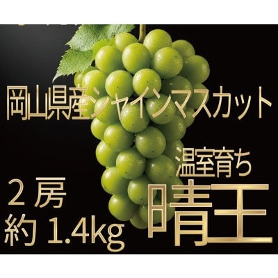 [HS]ぶどう2026年先行予約 7月～8月発送 温室シャインマスカット晴王2房(合計約1.4kg)