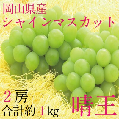 [HS]ぶどう2026年先行予約9月～10月発送シャインマスカット晴王2房(合計約1kg)