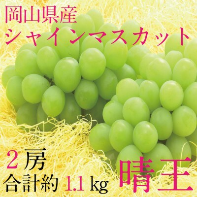 [HS]ぶどう2026年先行予約9月～10月発送シャインマスカット晴王2房(合計約1.1kg)