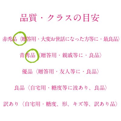 [HS]ぶどう先行予約9月～10月発送シャインマスカット晴王2房(合計約1.4kg)