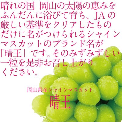[HS]ぶどう先行予約9月～10月発送シャインマスカット晴王2房(合計約1.4kg)
