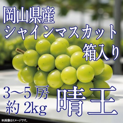 [HS]ぶどう2026年先行予約9月～10月発送シャインマスカット晴王2k箱(3～5房)