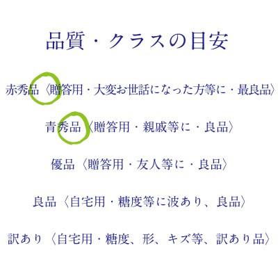[HS]ぶどう2026年先行予約9月～10月発送シャインマスカット晴王2k箱(3～5房)
