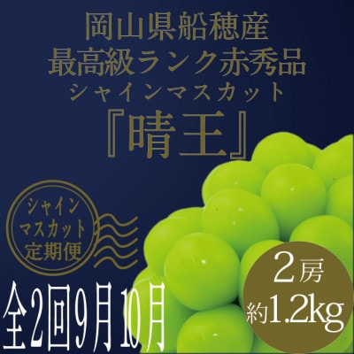 【発送月固定定期便】HS/2025年先行予約9月/10月2回発送最高級品晴王2房約1.2kg全2回