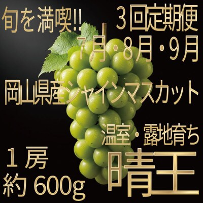 【発送月固定定期便】[HS]7月・8月・9月発送温室・露地晴王1房約600g全3回