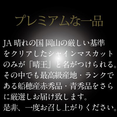 【発送月固定定期便】[HS]7月・8月・9月発送温室・露地晴王1房約600g全3回