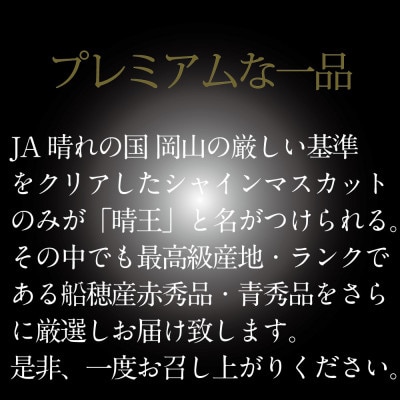 【発送月固定定期便】HS7月8月9月10月発送温室・露地晴王2房約1.2kg全4回