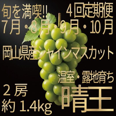 【発送月固定定期便】HS7月8月9月10月発送温室・露地晴王2房約1.4kg全4回