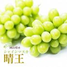 2025年発送 岡山産 シャインマスカット 晴王 2房入り 合計約1kg 大粒 種無し