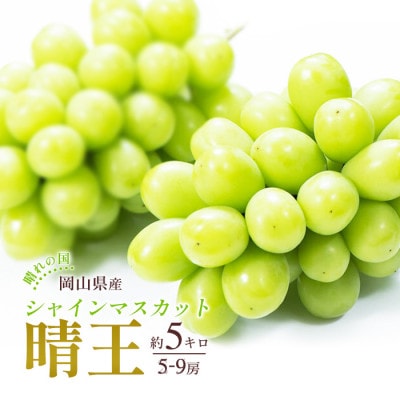 2025年発送 岡山産 シャインマスカット 晴王 5～9房入り 合計約5kg 大粒 種無し