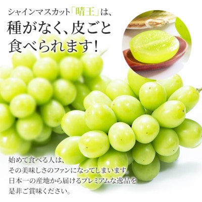 2025年発送 岡山産 シャインマスカット 晴王 特選 6房 (1房約700g)化粧箱入り