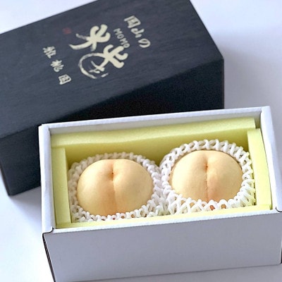 【2026年発送】岡山 白桃 2玉 雅桃園(贈答用)