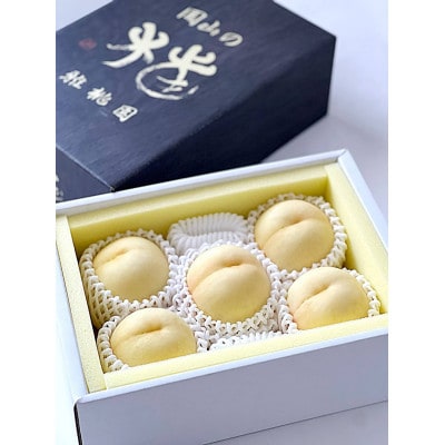 【2026年発送】岡山 白桃 1.5kg前後(4～6玉) 雅桃園 (贈答用)