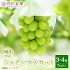 【花田青果】先行受付　シャインマスカット 3～4房(2kg以上)