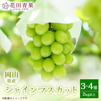 【花田青果】先行受付　シャインマスカット 3～4房(2kg以上)