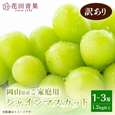 【花田青果】先行受付　ご家庭用シャインマスカット 1～3房(1.2kg以上)　訳あり
