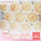 【花田青果】先行受付　白桃 約3.8kg　晩生