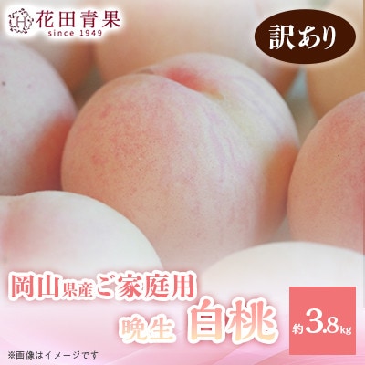 【花田青果】先行受付　ご家庭用白桃 約3.8kg　晩生