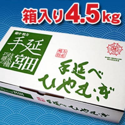 手延べひやむぎ　4.5kg