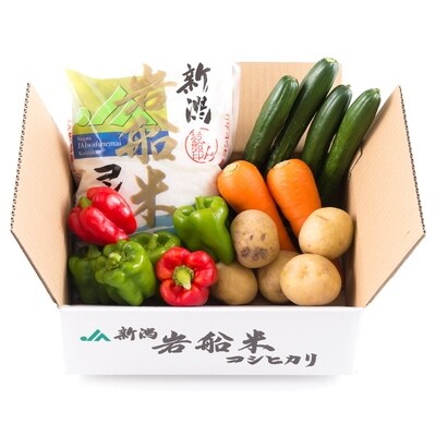 岩船米コシヒカリと季節の野菜セット① A324