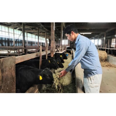 村上牛×黒毛和牛の切り落とし500g A4001