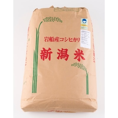 新米】令和3年産 新潟県産 岩船産 コシヒカリ 30kg | corumsmmmo.org.tr