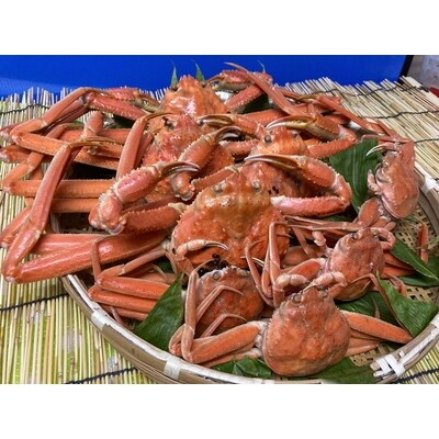 期間限定 本ズワイガニ 雄 女ガニセット E4026 お礼品詳細 ふるさと納税なら さとふる 期間限定 本ズワイガニ 雄 女ガニセット E4026 お礼品詳細 ふるさと納税なら さとふる