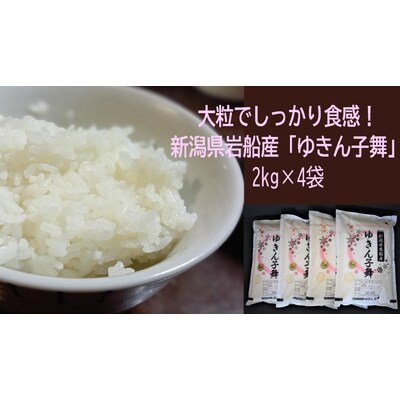 令和4年産米 大粒でしっかり食感 新潟県岩船産 ゆきん子舞 8kg 099 お礼品詳細 ふるさと納税なら さとふる