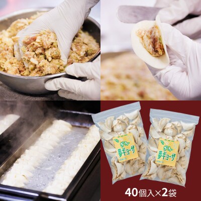 ぎふ絶品餃子 100個入(50個入×2袋) 生冷凍