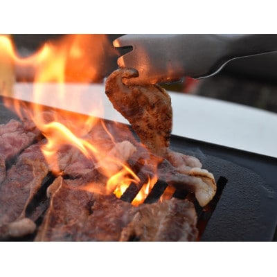 [A5等級]飛騨牛バラカルビ焼肉用1kg