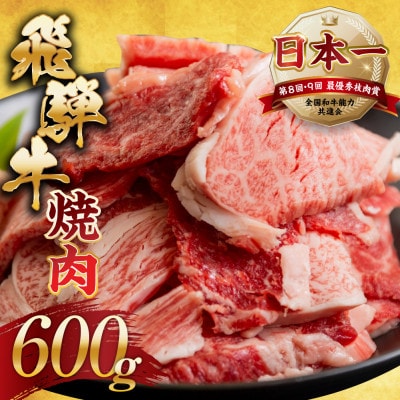 【訳あり】飛騨牛 焼肉 切り落とし 600g