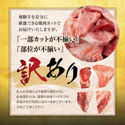 【訳あり】飛騨牛 焼肉 切り落とし 600g