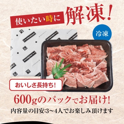 【訳あり】飛騨牛 焼肉 切り落とし 600g