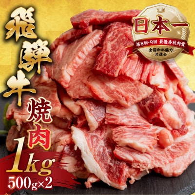 【訳あり】飛騨牛 焼肉 切り落とし 1kg(500g×2パック)