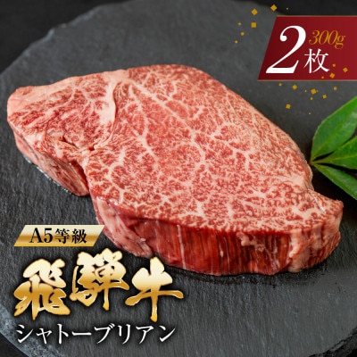 A5等級 飛騨牛 シャトーブリアン ステーキ 2枚 牛肉 ヒレ トキノ屋食品