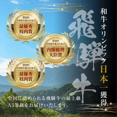 [A5等級] 飛騨牛モモステーキ400g(200g×2枚) [mt1542]