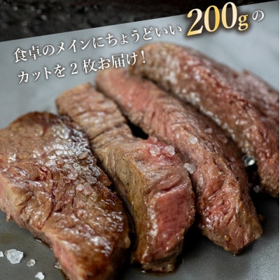 [A5等級] 飛騨牛モモステーキ400g(200g×2枚) [mt1542]
