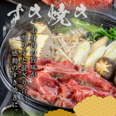 [A5等級] 飛騨牛赤身肉すき焼き・しゃぶしゃぶ用 750g『モモ・カタ肉』[mt1723]