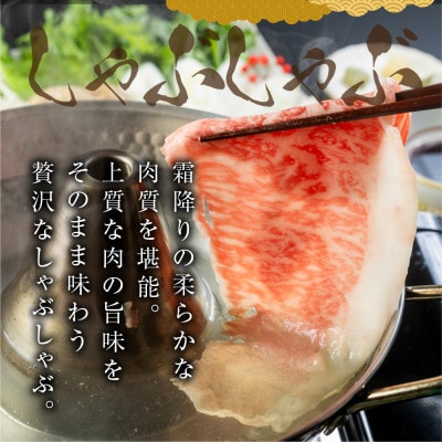 飛騨牛すき焼き・しゃぶしゃぶ用 600g『ロース・肩ロース肉』[mt1732]