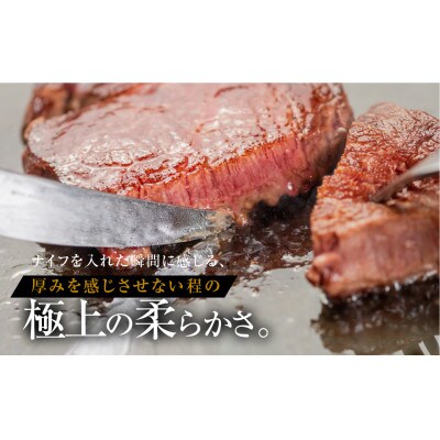 トキノ屋[A5等級] 飛騨牛シャトーブリアン 150g×4枚 [mt654]