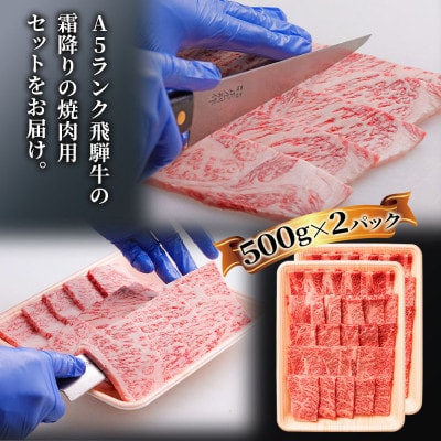 [A5等級]飛騨牛焼き肉用1kg(500g×2パック)ロース・肩ロース肉