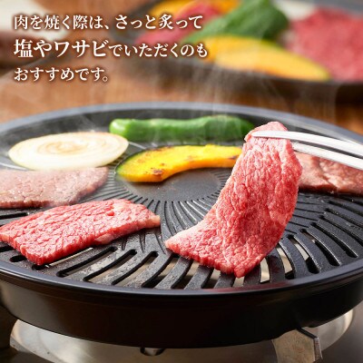 (A5等級)飛騨牛焼肉用500g　ロース又は肩ロース肉