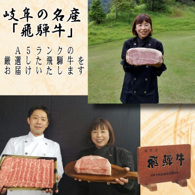 (A5等級)飛騨牛焼肉用500g　ロース又は肩ロース肉
