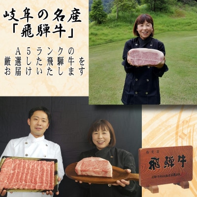 (A5等級)飛騨牛赤身肉スライス300g　モモ又はカタ肉