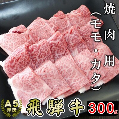 (A5等級)飛騨牛赤身肉焼肉用300g　モモ又はカタ肉